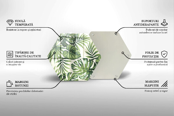 Skleněná deska do kuchyně Ilustrace monstera listy