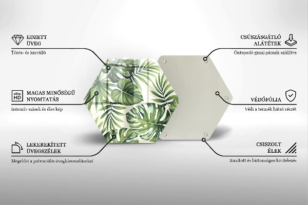 Skleněná deska do kuchyně Ilustrace monstera listy