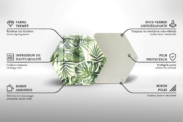 Skleněná deska do kuchyně Ilustrace monstera listy