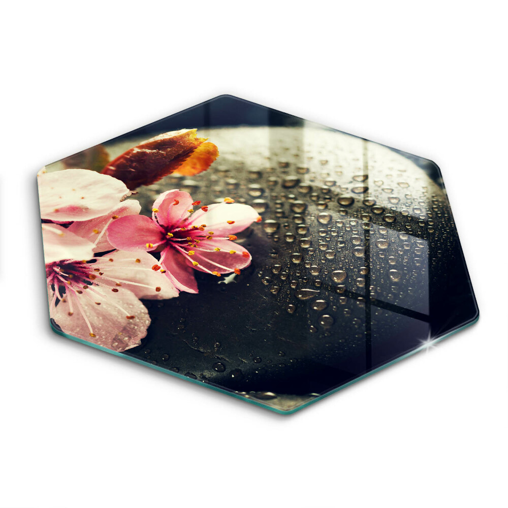 Skleněná deska do kuchyně Květiny zenové kameny