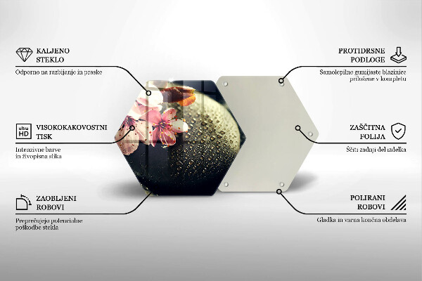 Skleněná deska do kuchyně Květiny zenové kameny