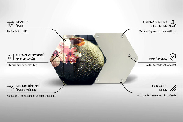 Skleněná deska do kuchyně Květiny zenové kameny