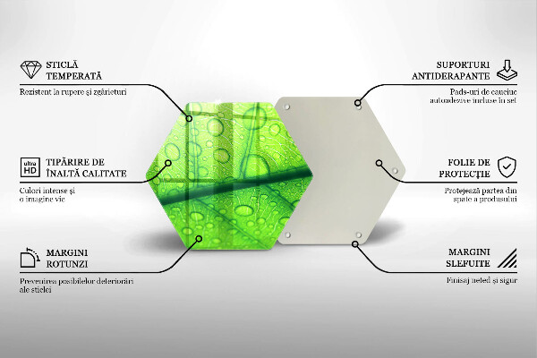 Skleněná deska do kuchyně Detailní záběr na list