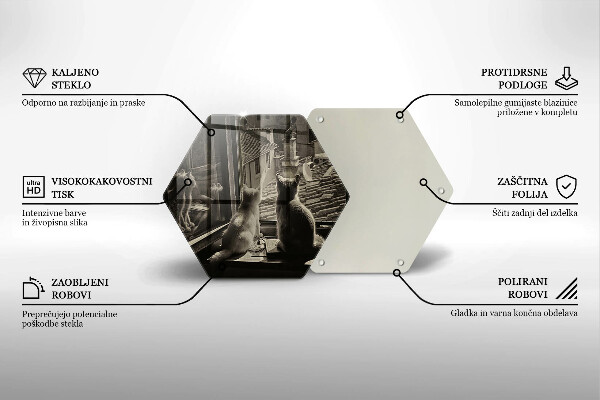 Skleněná deska do kuchyně Kočičí město a okno