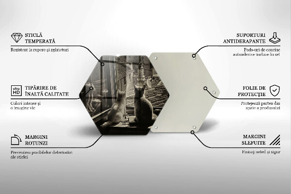 Skleněná deska do kuchyně Kočičí město a okno