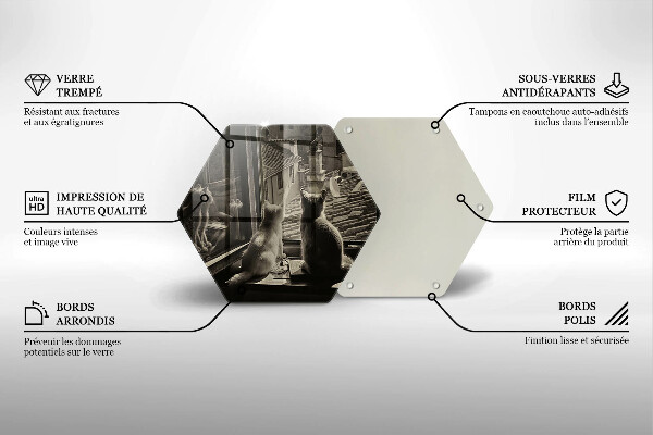 Skleněná deska do kuchyně Kočičí město a okno