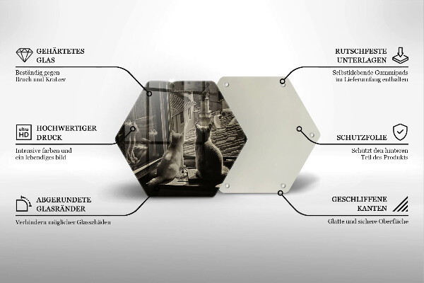 Skleněná deska do kuchyně Kočičí město a okno