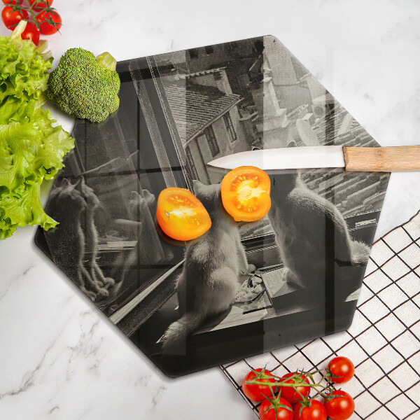 Skleněná deska do kuchyně Kočičí město a okno