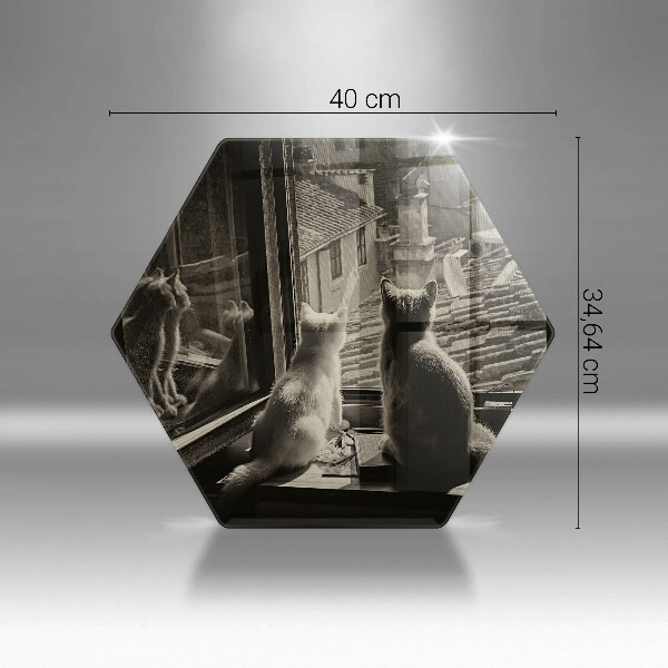 Skleněná deska do kuchyně Kočičí město a okno