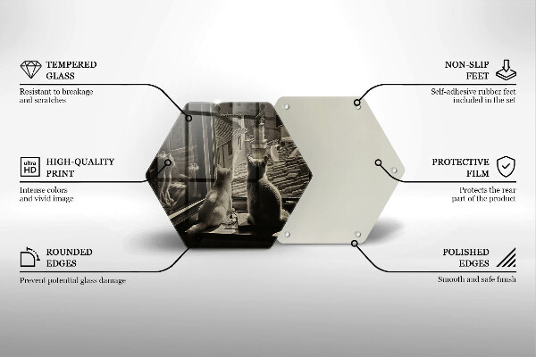 Skleněná deska do kuchyně Kočičí město a okno