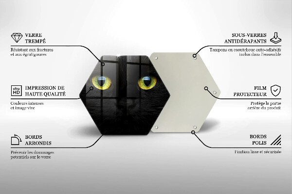 Skleněná deska do kuchyně Zvířecí kočičí oči