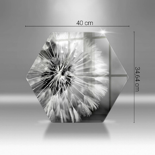 Skleněná deska do kuchyně Jemná pampeliška