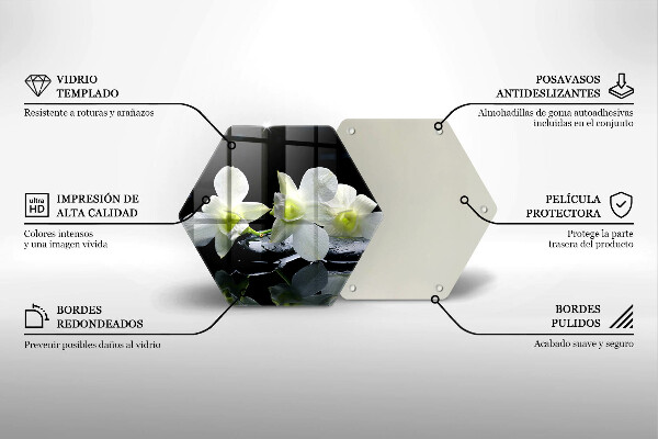 Skleněná deska do kuchyně Bílé květy v zenové vodě