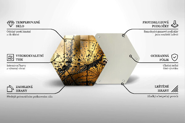 Skleněná deska do kuchyně Rosa a pampelišky