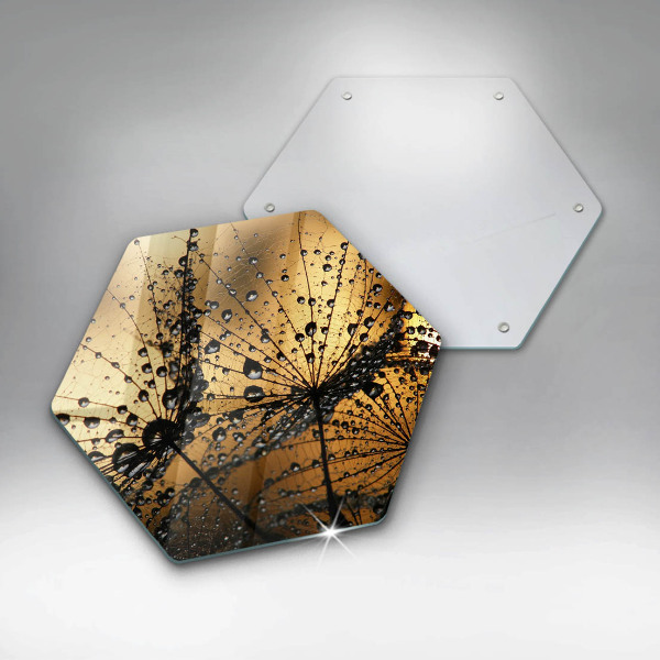 Skleněná deska do kuchyně Rosa a pampelišky