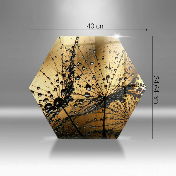 Skleněná deska do kuchyně Rosa a pampelišky