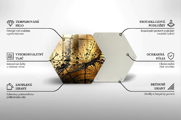 Skleněná deska do kuchyně Rosa a pampelišky