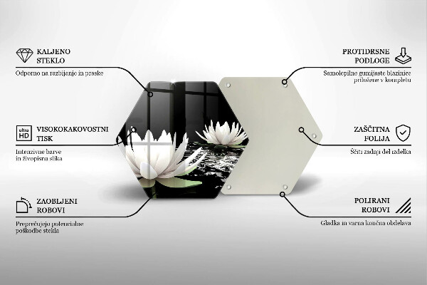 Skleněná deska do kuchyně Bílé lilie na vodě