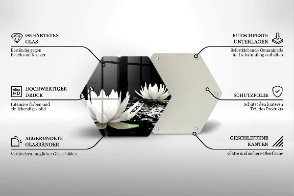 Skleněná deska do kuchyně Bílé lilie na vodě