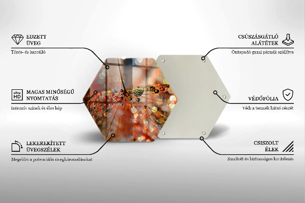 Skleněná deska do kuchyně Mokrá pampeliška