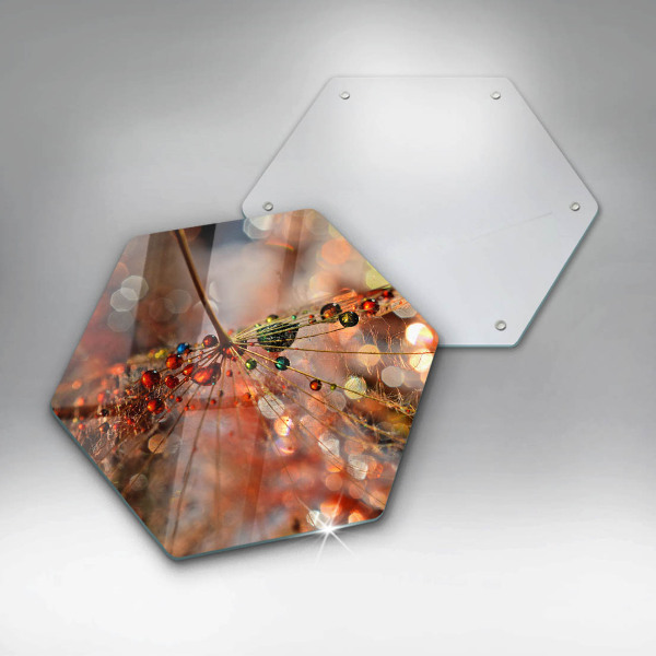 Skleněná deska do kuchyně Mokrá pampeliška