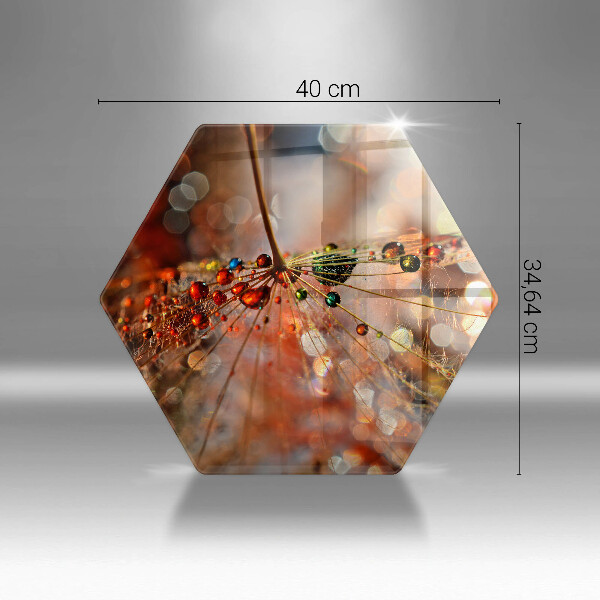 Skleněná deska do kuchyně Mokrá pampeliška