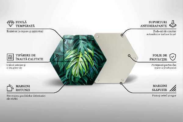 Skleněná deska do kuchyně Divoké monstera listy