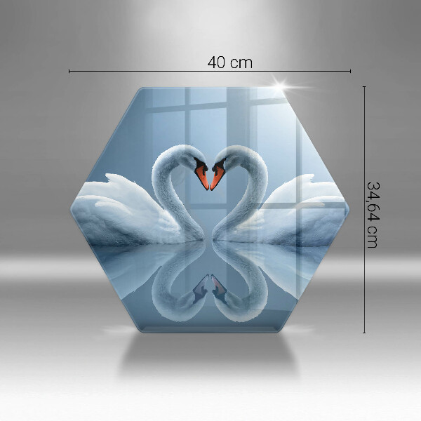 Skleněná deska do kuchyně Dvě labutí srdce