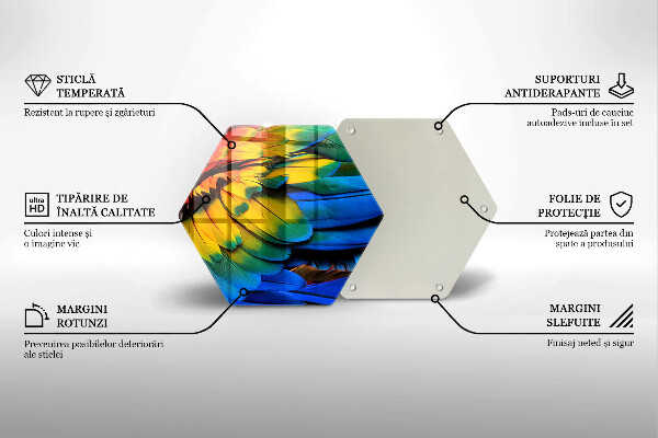 Skleněná krájecí deska Barevné papouščí peří
