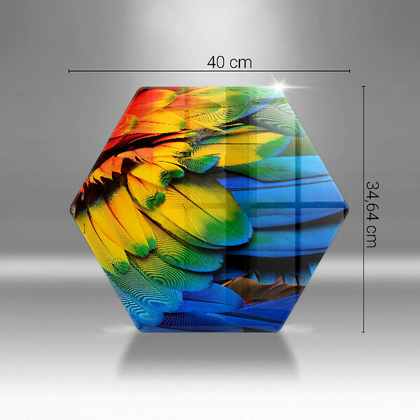 Skleněná krájecí deska Barevné papouščí peří