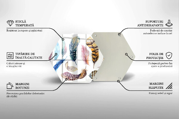 Skleněná deska do kuchyně Barevné ptačí peří
