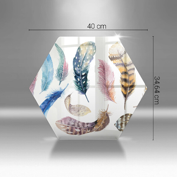 Skleněná deska do kuchyně Barevné ptačí peří