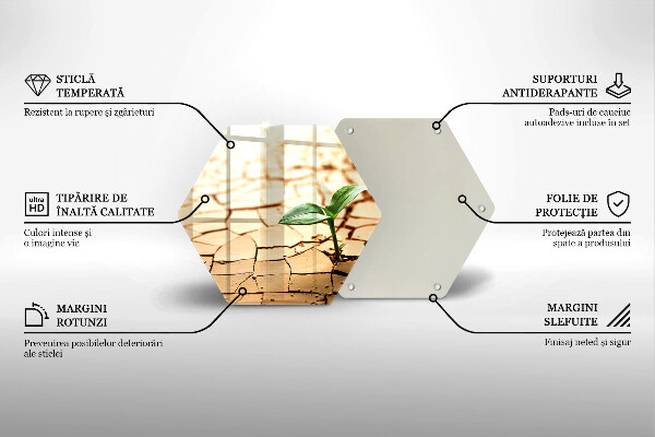 Skleněná deska do kuchyně Osamělá rostlina