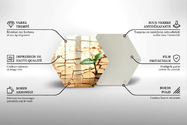 Skleněná deska do kuchyně Osamělá rostlina