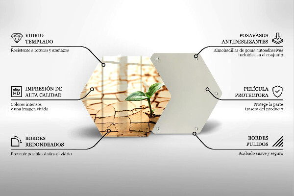 Skleněná deska do kuchyně Osamělá rostlina