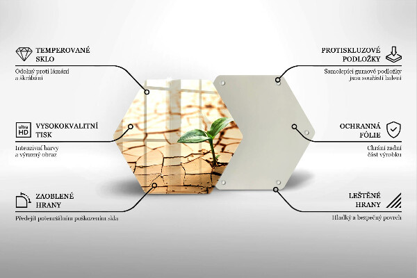 Skleněná deska do kuchyně Osamělá rostlina