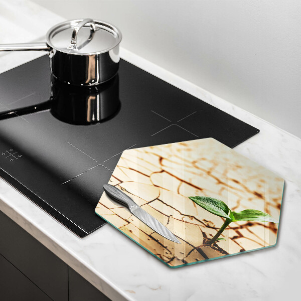 Skleněná deska do kuchyně Osamělá rostlina