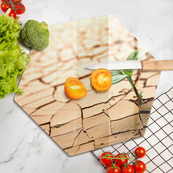 Skleněná deska do kuchyně Osamělá rostlina