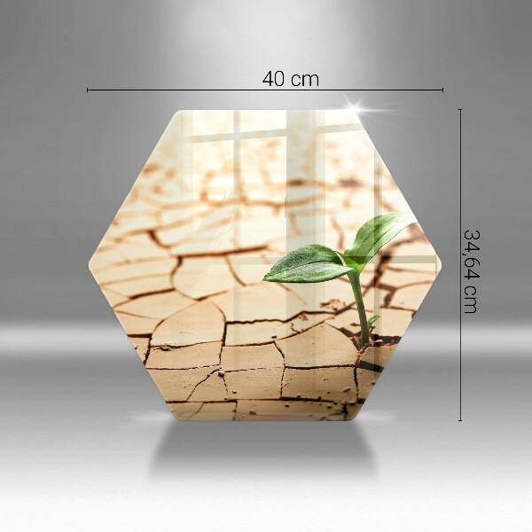 Skleněná deska do kuchyně Osamělá rostlina