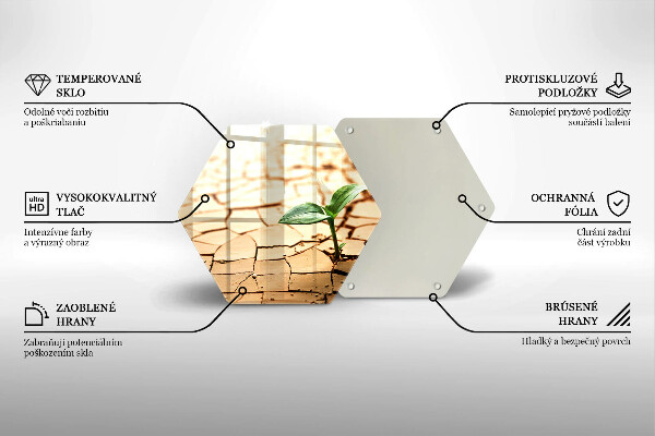 Skleněná deska do kuchyně Osamělá rostlina