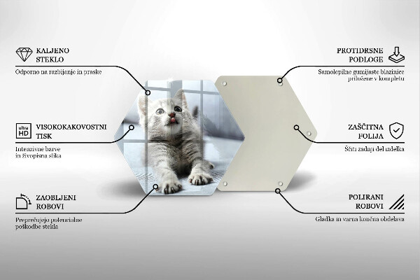 Skleněná deska do kuchyně Malé roztomilé kotě