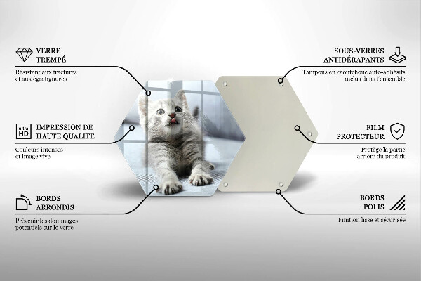 Skleněná deska do kuchyně Malé roztomilé kotě