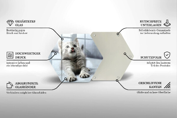 Skleněná deska do kuchyně Malé roztomilé kotě