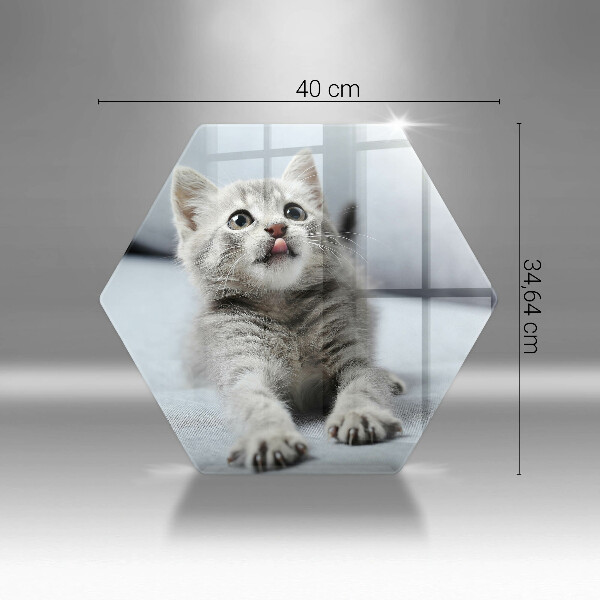 Skleněná deska do kuchyně Malé roztomilé kotě