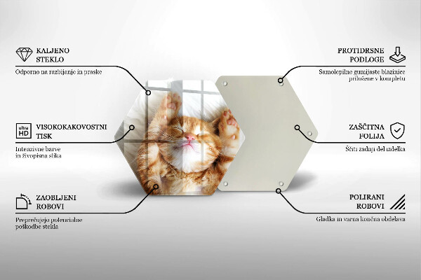 Skleněná deska do kuchyně Malé roztomilé kotě