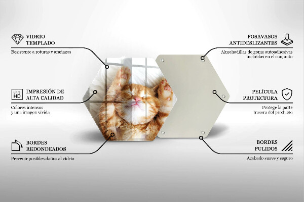 Skleněná deska do kuchyně Malé roztomilé kotě