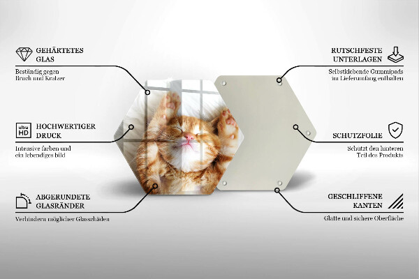 Skleněná deska do kuchyně Malé roztomilé kotě