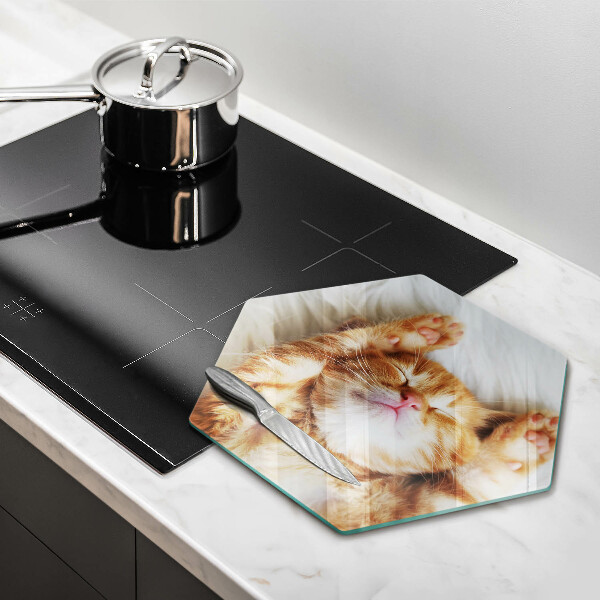 Skleněná deska do kuchyně Malé roztomilé kotě
