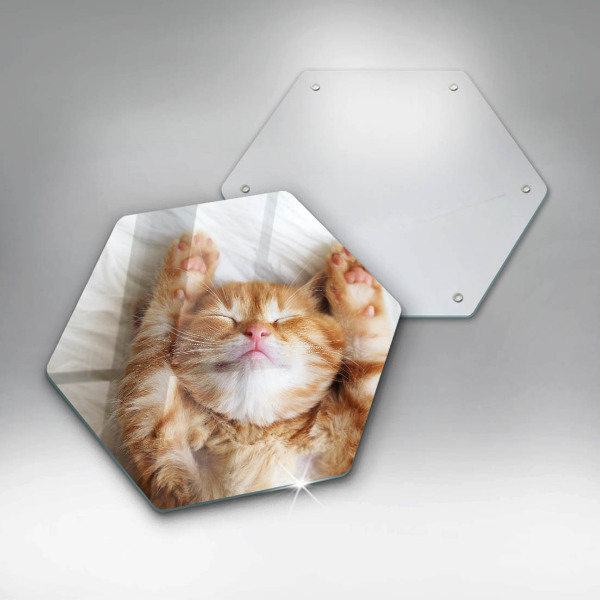 Skleněná deska do kuchyně Malé roztomilé kotě