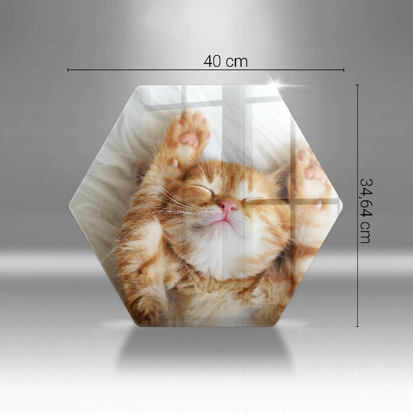 Skleněná deska do kuchyně Malé roztomilé kotě